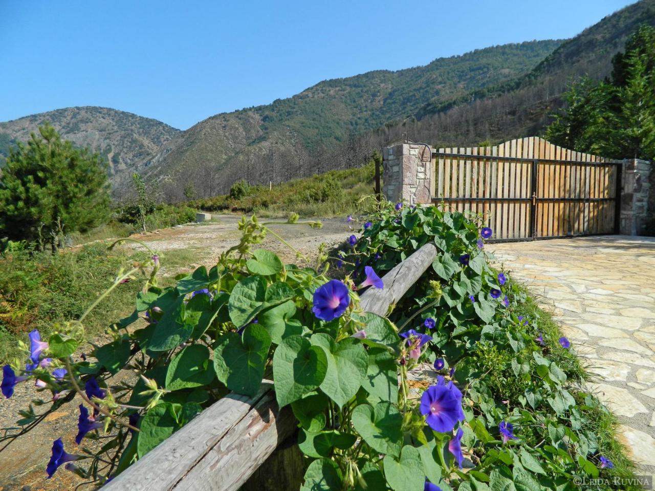 Sofra E Shpatit Hotel Elbasan Exterior photo